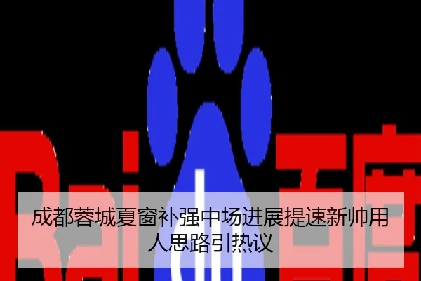成都蓉城夏窗补强中场进展提速新帅用人思路引热议