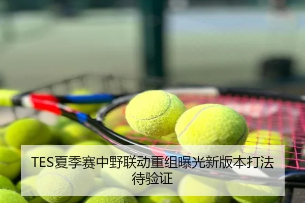 TES夏季赛中野联动重组曝光新版本打法待验证