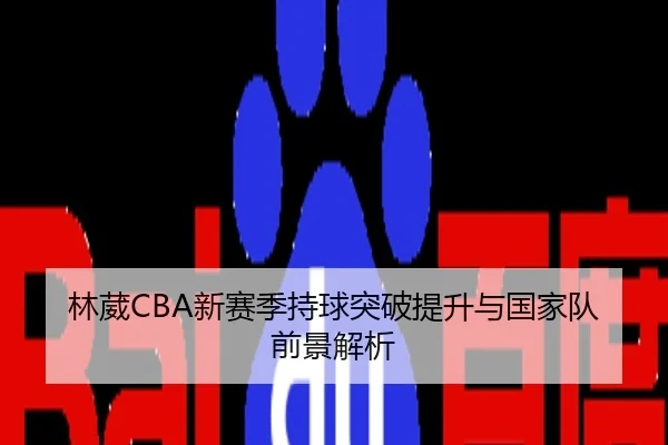 林葳CBA新赛季持球突破提升与国家队前景解析