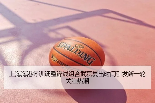 上海海港冬训调整锋线组合武磊复出时间引发新一轮关注热潮